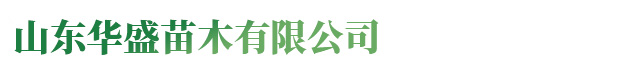 礦用運(yùn)輸工程車(chē)